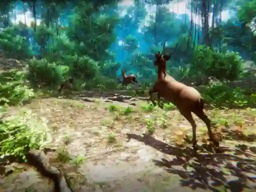 Jeu  Hunter 3D en ligne