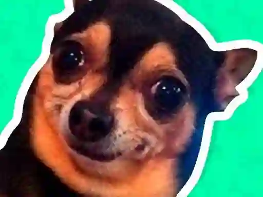 Jeu What meme dog are you ? en ligne