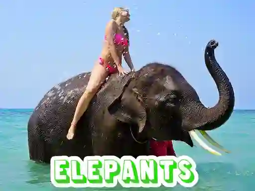 Jeu Elephants Puzzle en ligne
