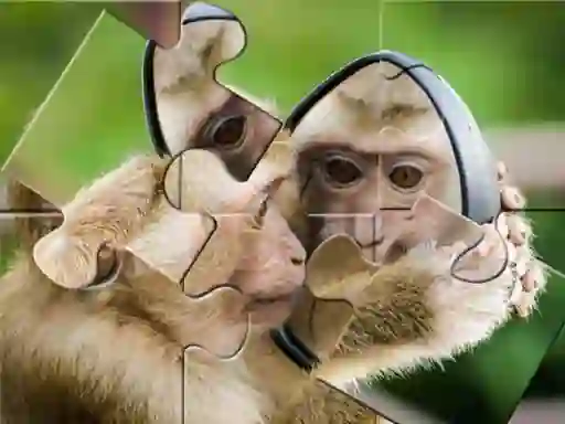 Jeu Chimpanzee Jigsaw en ligne