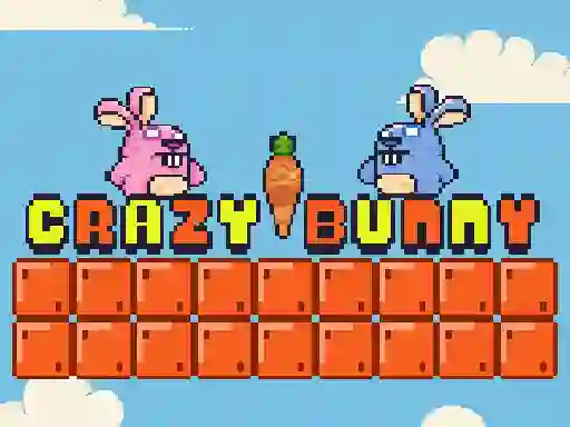 Jeu Crazy Bunny en ligne