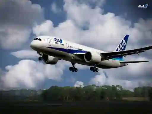 Jeu Boeing Dreamliner Puzzle en ligne