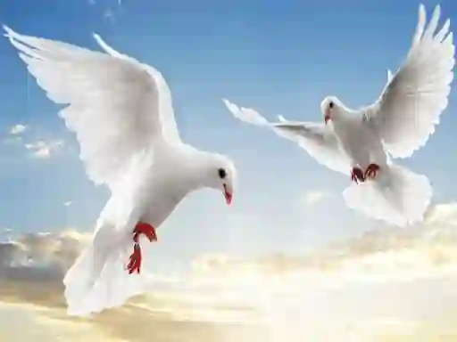 Jeu Flying Birds en ligne