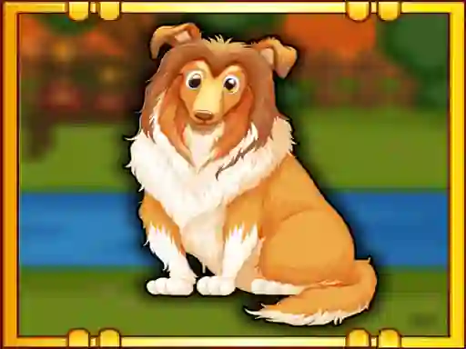 Jeu Bernese Mountain Dog Escape en ligne
