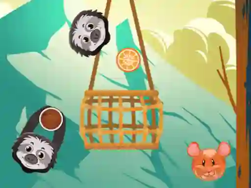 Jeu Slings To The Basket en ligne