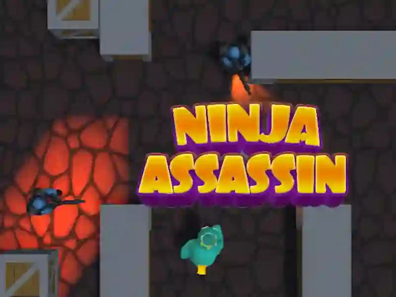 Jeu Ninja Assassin en ligne