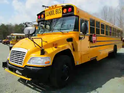 Jeu School Buses Puzzle en ligne