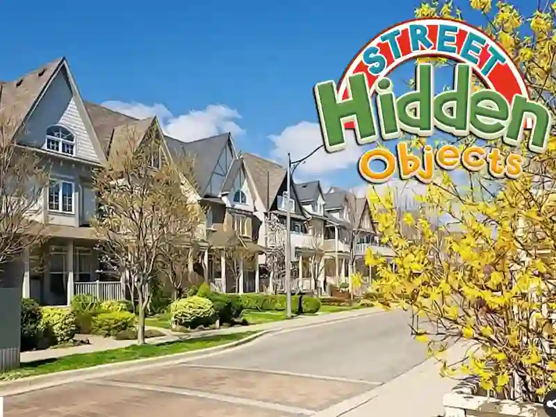 Jeu Street Hidden Objects en ligne