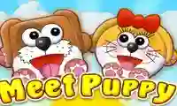 Jeu Meet Puppy en ligne