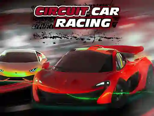 Jeu Circuit Car Racing en ligne
