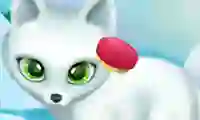 Jeu Paws to Beauty Arctic Edition en ligne