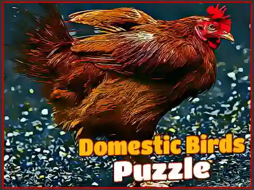 Jeu Domestic Birds Puzzle en ligne
