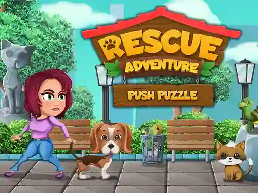 Jeu Rescue Adventure Push Puzzle en ligne