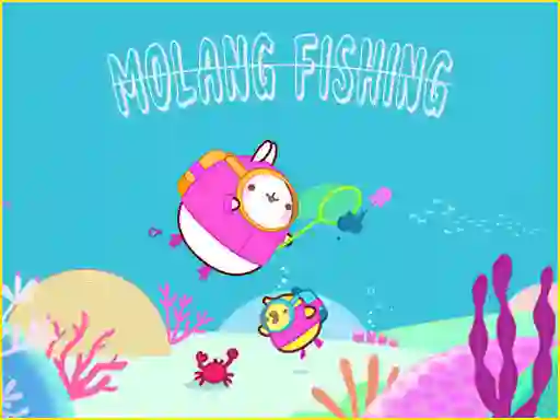 Jeu Molang en ligne