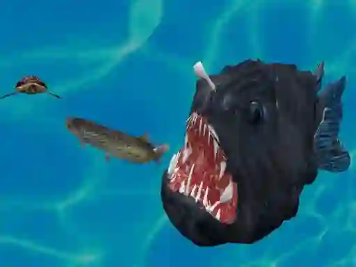 Jeu Fish 3d en ligne
