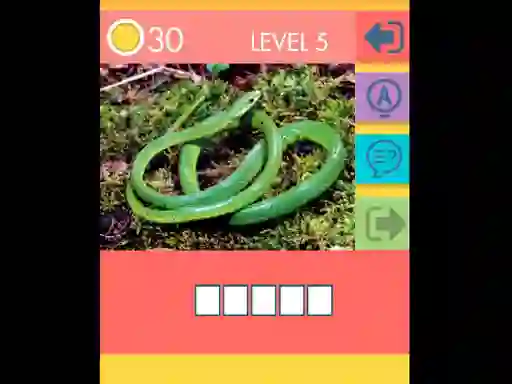 Jeu 15 Picture Quiz en ligne