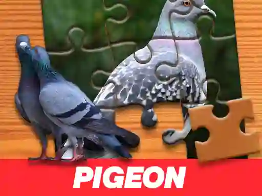 Jeu Pigeon Jigsaw Puzzle en ligne