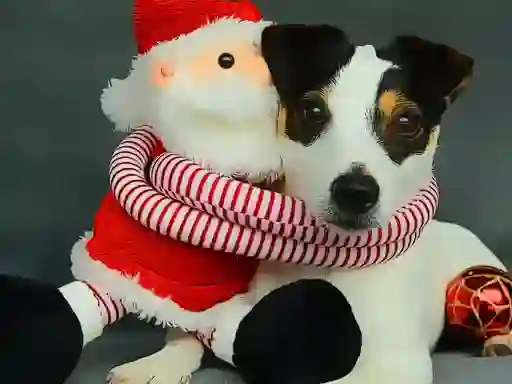 Jeu Funny Christmas Dogs en ligne