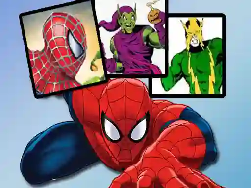 Jeu Spiderman Match Cards en ligne