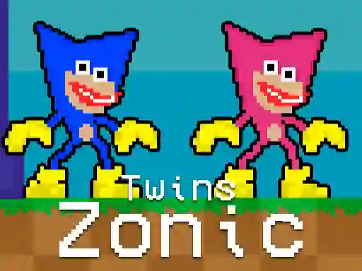 Jeu Twins Zonic en ligne