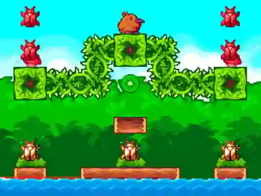 Jeu Kiwi story en ligne