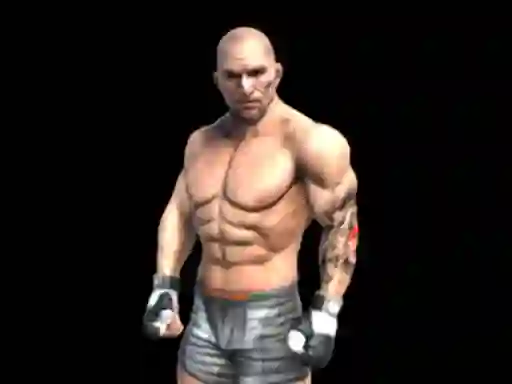 Jeu Fight Arena Online en ligne