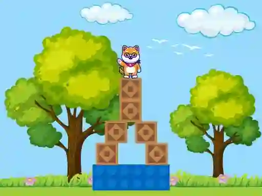 Jeu Box Challenge en ligne