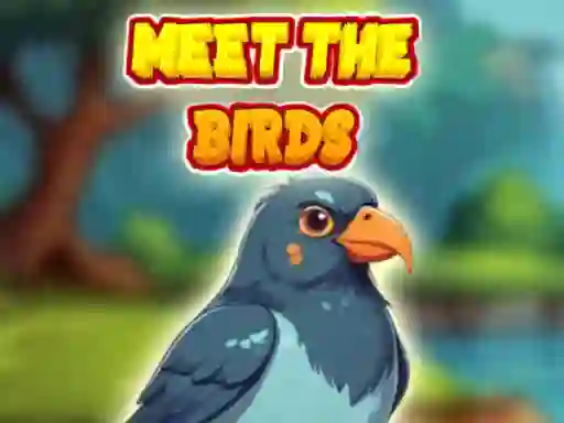 Jeu Meet The Birds en ligne