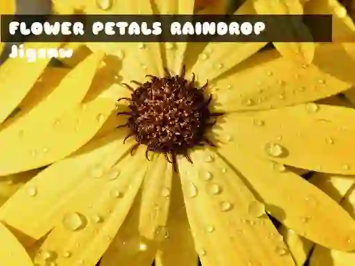 Jeu Flower Petals Raindrop Jigsaw en ligne