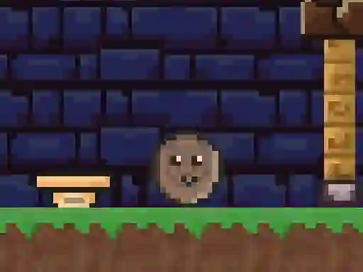 Jeu Logus Pocus en ligne