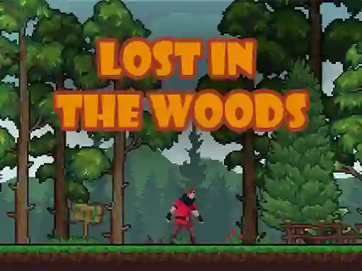 Jeu Lost in the Woods en ligne