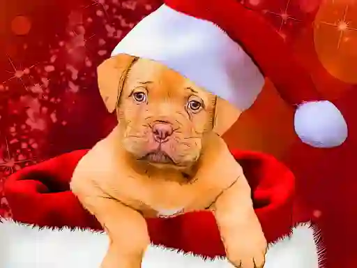 Jeu Christmas Dogs Styles en ligne