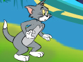 Jeu Tom et Jerry - Cat Catch  en ligne