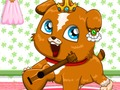 Jeu Roulette pour animaux de compagnie  en ligne
