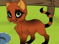 Jeu Mon chaton  en ligne