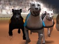 Jeu Les courses de lévriers  en ligne