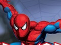 Jeu Guerrier d'araignée  en ligne