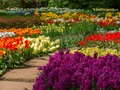 Jeu Jardin de fleurs 2 en ligne