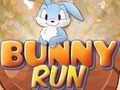 Jeu Course de lapin  en ligne