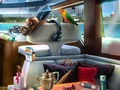 Jeu Crime des Caraïbes  en ligne