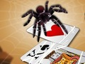 Jeu Araignée sauteuse  en ligne