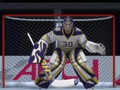 Jeu Tournoi de hockey  en ligne