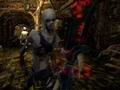 Jeu Zombies vs Berserk 2 en ligne