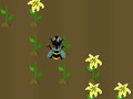 Jeu Récolte de nectar  en ligne