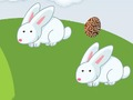 Jeu Oeufs fous  en ligne