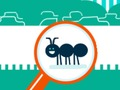Jeu Bug de squashy en ligne