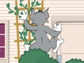 Jeu Tom und Jerry: Wasserbomben Wahnsinn en ligne