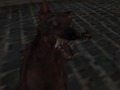 Jeu Armée zombie nazie  en ligne