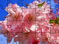 Jeu Puzzle: Fleurs  en ligne