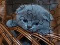 Jeu Puzzle: Chats  en ligne